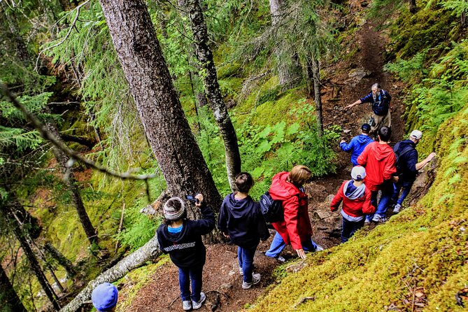 Skagway Shore Excursion Chilkoot Trail Hike and Float Tour - What the four-hour schedule means for a cruise day