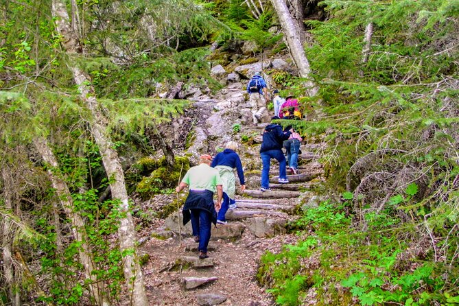 Skagway Shore Excursion Chilkoot Trail Hike and Float Tour - The first mile of the Chilkoot Trail demands attention