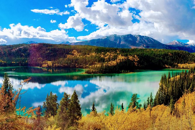Skagway Shore Excursion: Full-Day Tour of the Yukon - Key points to know before you book
