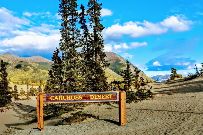 Skagway Shore Excursion: Full-Day Tour of the Yukon - Tutshi Lake and the first mountain views