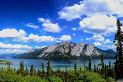 Skagway Shore Excursion: Full-Day Tour of the Yukon