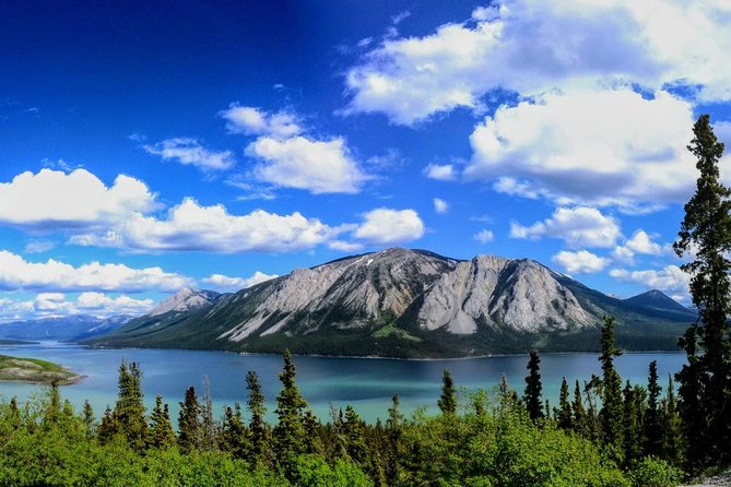 Skagway Shore Excursion: Full-Day Tour of the Yukon - Tagish Lake, Bove Island, and the Yukon border