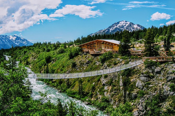 Skagway Shore Excursion: Half-Day Tour to the Yukon Border and Suspension Bridge - Why this four-hour drive works so well from Skagway