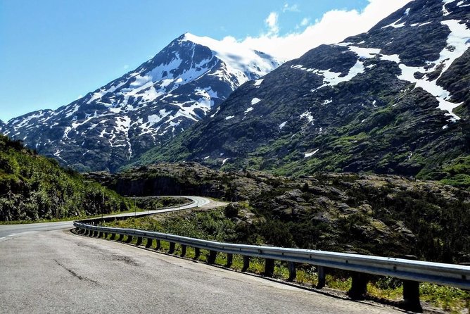 Skagway Shore Excursion: Half-Day Tour to the Yukon Border and Suspension Bridge - Guides, stories, and the human side of the tour