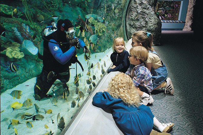 Skip the Ticketing Line: Aquarium of the Pacific General Admission Ticket - Southern California, Northern Pacific, and Tropical Pacific Habitats