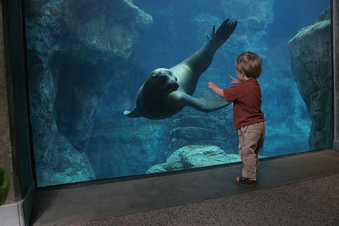 Skip the Ticketing Line: Aquarium of the Pacific General Admission Ticket - Shark Lagoon, Penguins, and the Animals Kids Remember