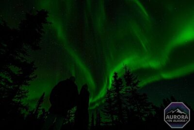 SkyChase™ | Northern Lights Experience – Free Photography & More
