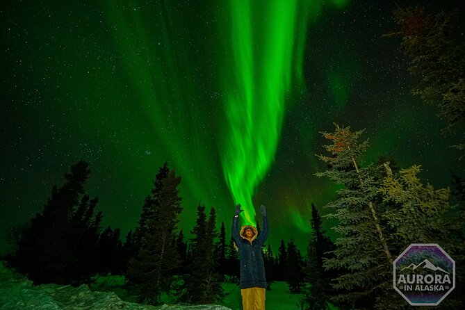 SkyChase™ | Northern Lights Experience - Free Photography & More - Photography that is actually useful