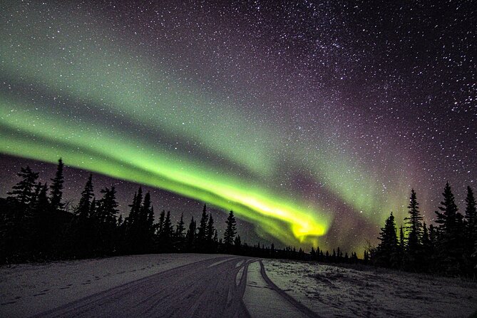 SkyChase™ | Northern Lights Experience - Free Photography & More - The aurora guarantee and its limits