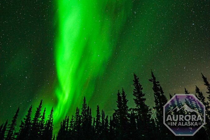 SkyChase™ | Northern Lights Experience - Free Photography & More - Who should book SkyChase™?