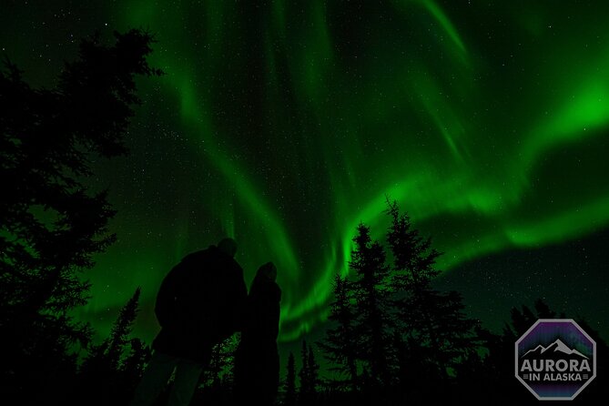 SkyChase™ | Northern Lights Experience - Free Photography & More - What the night feels like in the van