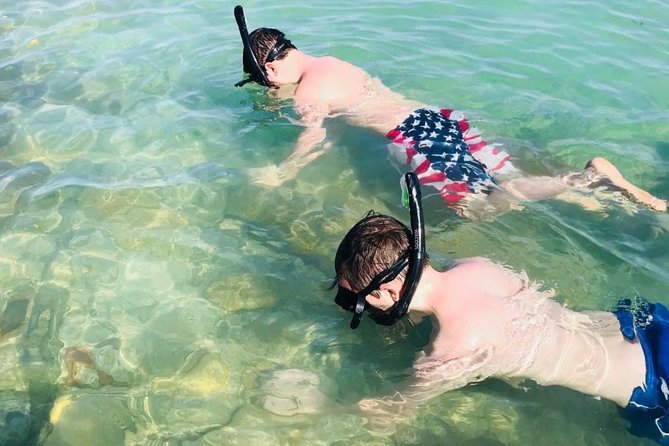 Small Group 2 Hour Dolphin Cruise with Snorkeling to Shell Key - A small boat with a real sense of place