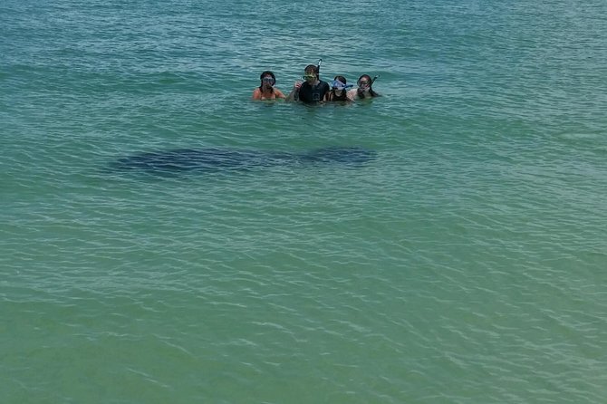 Small Group 2 Hour Dolphin Cruise with Snorkeling to Shell Key - Family comfort and the limits of a two-hour trip