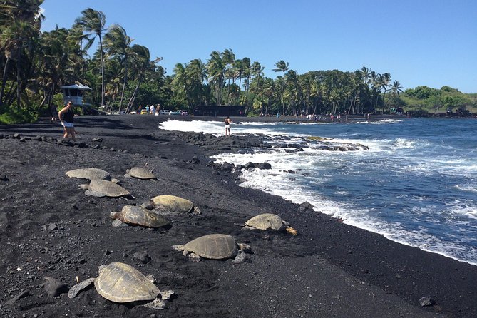 Small-Group Big Island Tour: Hawaii Volcanoes National Park and Kona Coffee Farm - Greenwell Farms and Kona Coffee Country