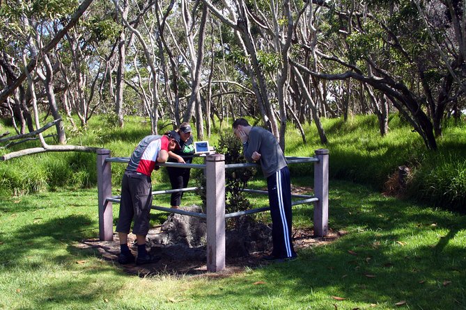 Small-Group Big Island Tour: Hawaii Volcanoes National Park and Kona Coffee Farm - Lunch, Dinner, and the Value of the $209 Price