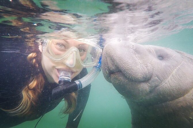 Small Group Manatee Snorkel Tour with In-Water Guide and Photographer - From Salty Siren Tours to the warm pontoon