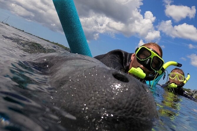 Small Group Manatee Snorkel Tour with In-Water Guide and Photographer - The manatee encounter: quiet attention works best