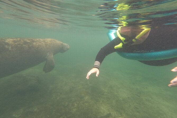 Small Group Manatee Snorkel Tour with In-Water Guide and Photographer - Why the small group matters