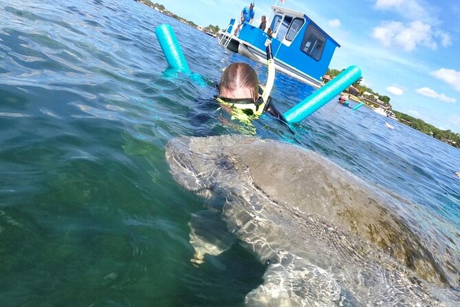 Small Group Manatee Snorkel Tour with In-Water Guide and Photographer - The $89.99 price and overall value