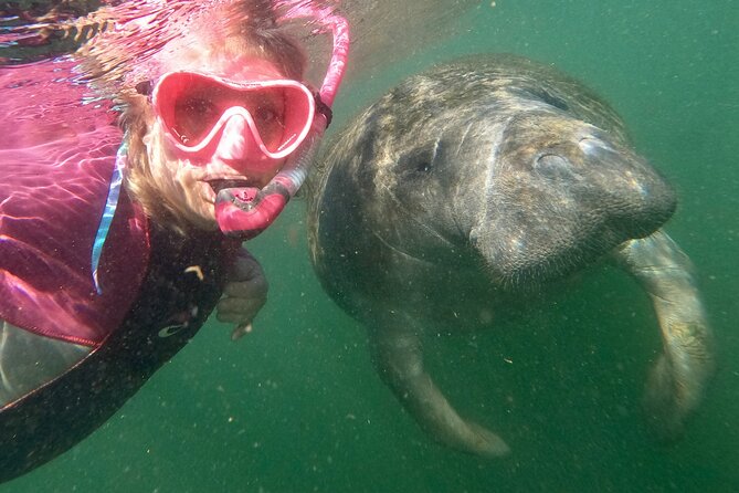 Small Group Manatee Snorkel Tour with In-Water Guide and Photographer - What the three-hour itinerary feels like