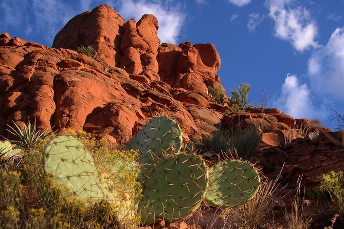 Small Group or Private Sedona and Native American Ruins Day Tour - Bell Rock brings you close to Sedona’s famous formations