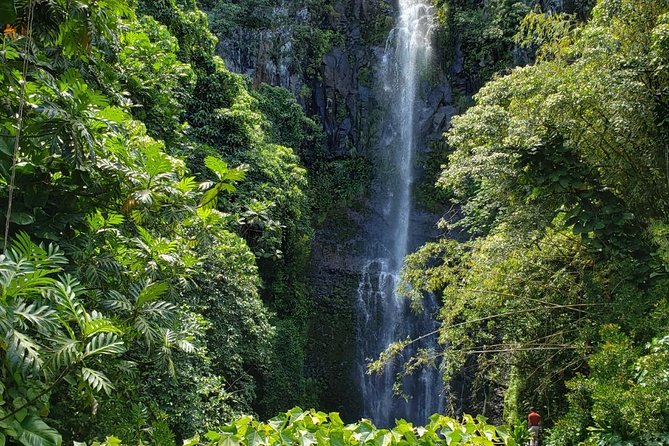 Small-Group Road to Hana Adventure Tour with Pickup & Lunch - Key details at a glance