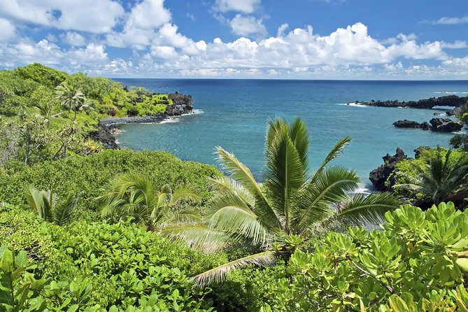 Small-Group Road to Hana Adventure Tour with Pickup & Lunch - Why the Road to Hana works better with a driver