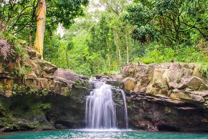 Small Group Waterfall and Rainforest Hiking Adventure on Maui - Lunch makes the half-day price easier to assess