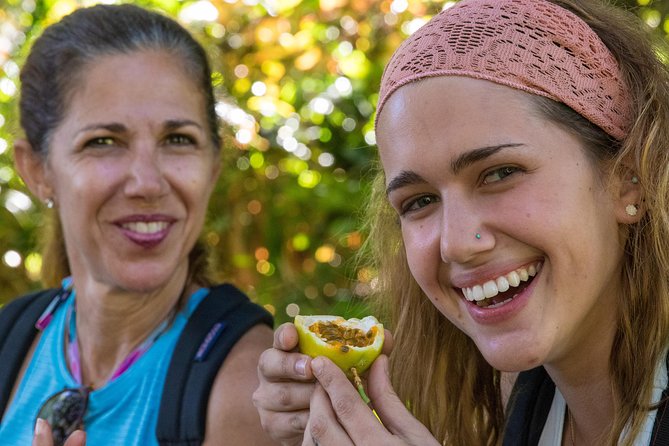 Small Group Waterfall and Rainforest Hiking Adventure on Maui - Group size and the guide’s role