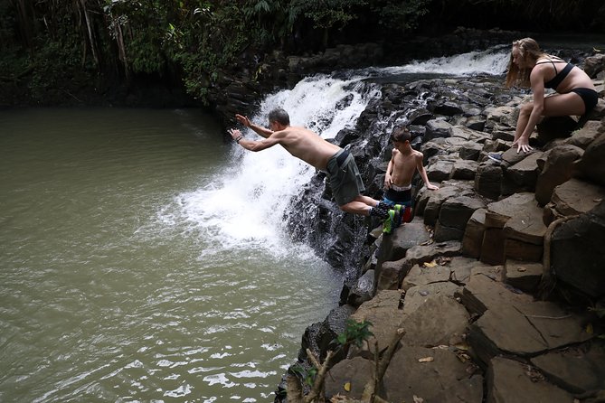 Small Group Waterfall and Rainforest Hiking Adventure on Maui - Timing, meeting point, and cancellation terms
