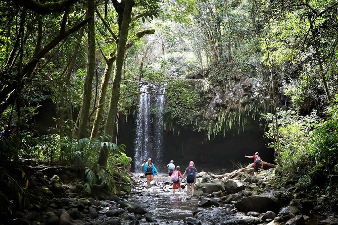 Small Group Waterfall and Rainforest Hiking Adventure on Maui - Waterfalls, pools, and the choice to jump