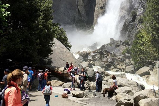 Small Group Yosemite and Giant Sequoias Day Trip from San Francisco - Is $239, plus possible fees, good value?