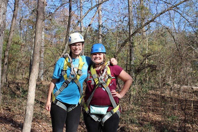 Small-Group Zipline Tour in Hot Springs - What the 90-minute itinerary feels like