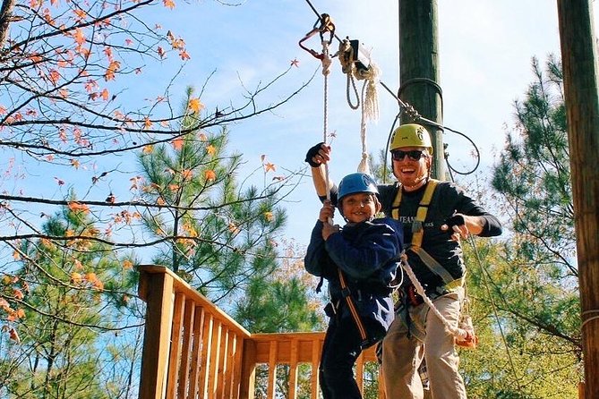 Small-Group Zipline Tour in Hot Springs - A first-timer friendly course with real physical work