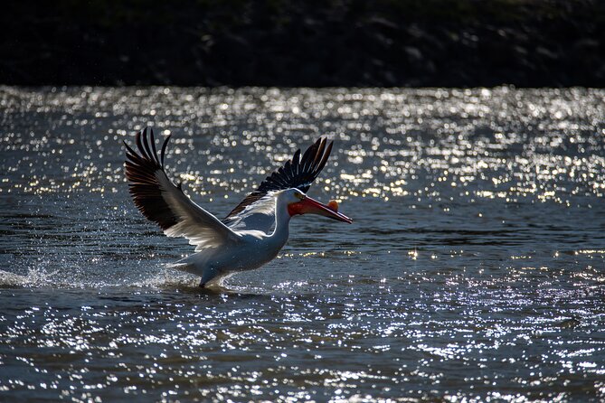 Snake River Scenic Float - Guides turn a quiet ride into a worthwhile outing