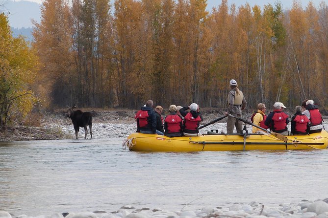 Snake River Scenic Float Trip with Teton Views in Jackson Hole - What the water feels like