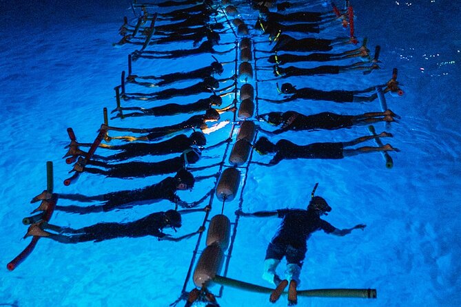 Snorkel with Manta Rays Guaranteed - The safety briefing explains the whole system