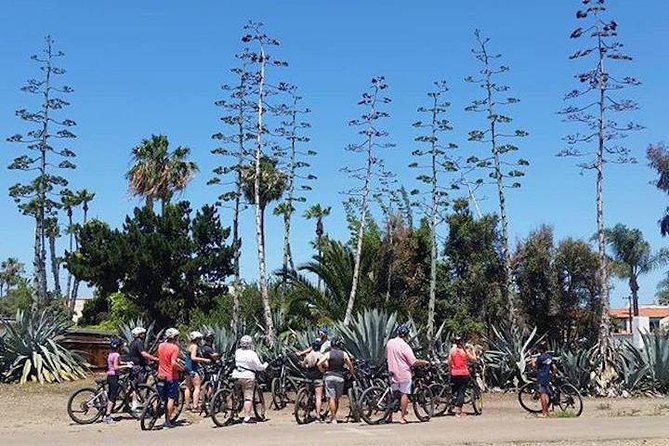 SoCal Riviera Electric Bike Tour of La Jolla and Mount Soledad - Children’s Pool and the seal controversy
