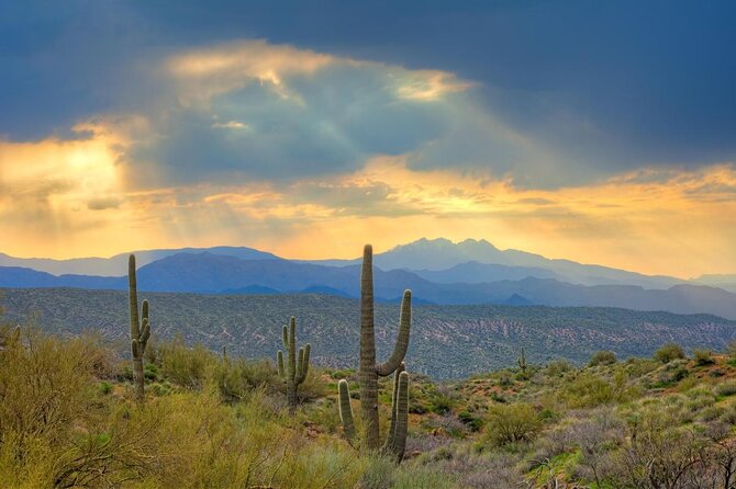 Sonoran Desert Jeep Tour at Sunset - Key points to know before booking