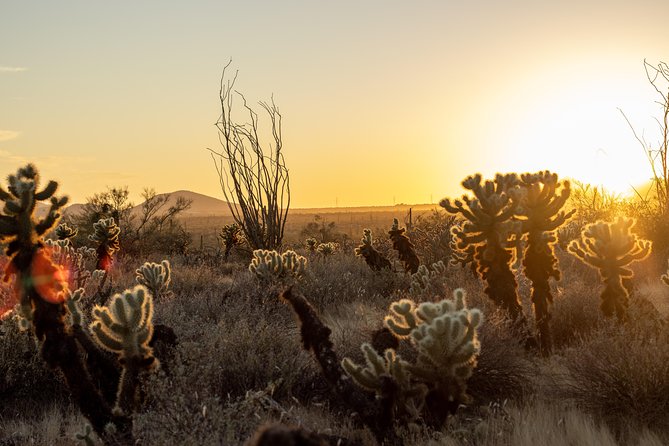 Sonoran Desert Jeep Tour at Sunset - Why a sunset Jeep ride works so well in Scottsdale