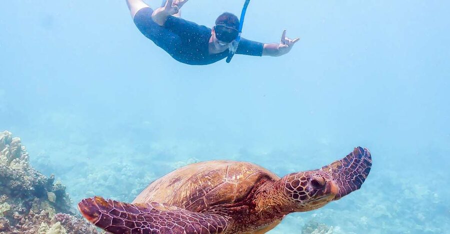 South Maui: Molokini Snorkeling Adventure - Key points to know before you book