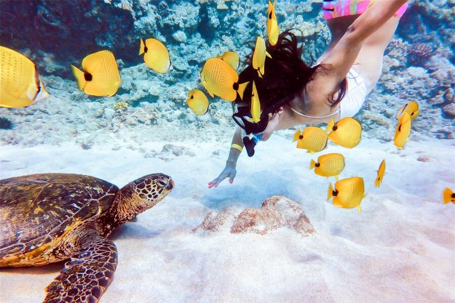 South Maui: Molokini Snorkeling Adventure - Snorkeling at Molokini Crater