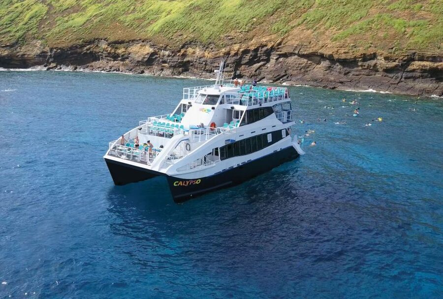 South Maui: Molokini Snorkeling Adventure - Who will enjoy this cruise most