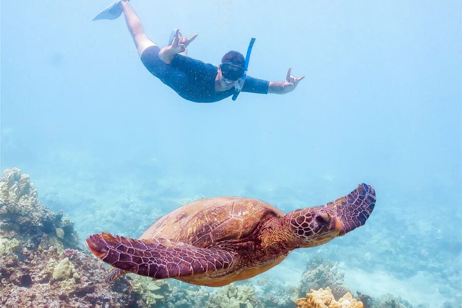 South Maui: Molokini Snorkeling Adventure - Leaving Maalaea Harbor on Calypso