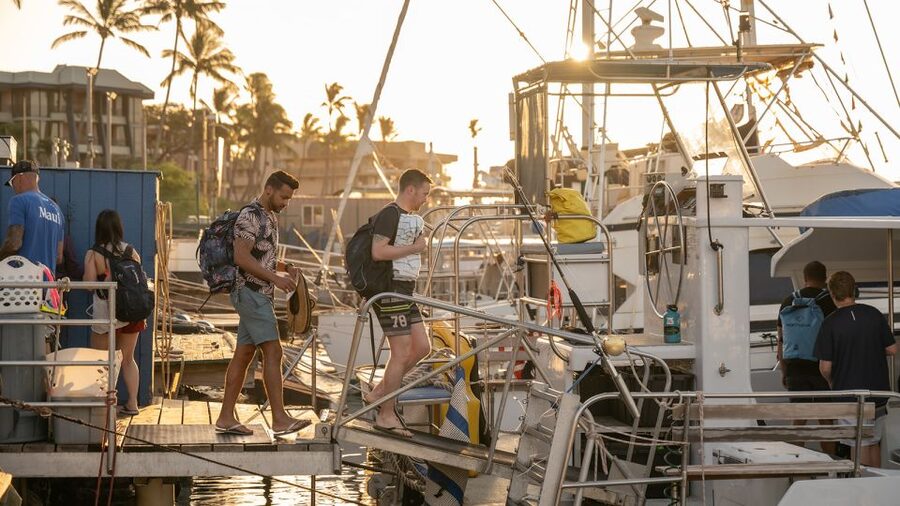 South Maui: Molokini & Turtle Town Snorkeling Tour with Meal - Why Molokini is worth the early start
