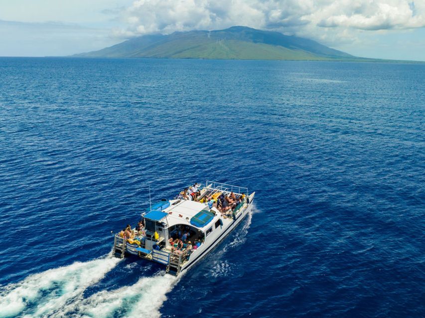 South Maui: Molokini & Turtle Town Snorkeling Tour with Meal - Whales, dolphins, and other possible bonuses