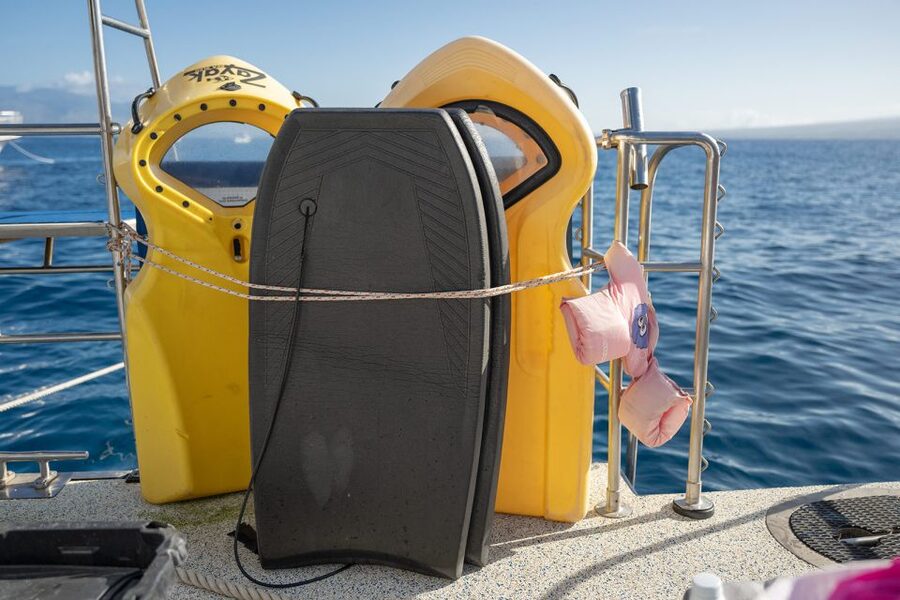 South Maui: Molokini & Turtle Town Snorkeling Tour with Meal - Is $159 a fair price?