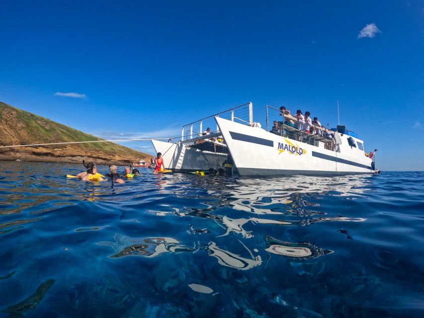South Maui: Snorkel to Coral Gardens or Molokini Crater - Who should book this afternoon trip