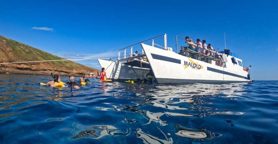 South Maui: Snorkel to Coral Gardens or Molokini Crater - Check in at Maalaea Harbor