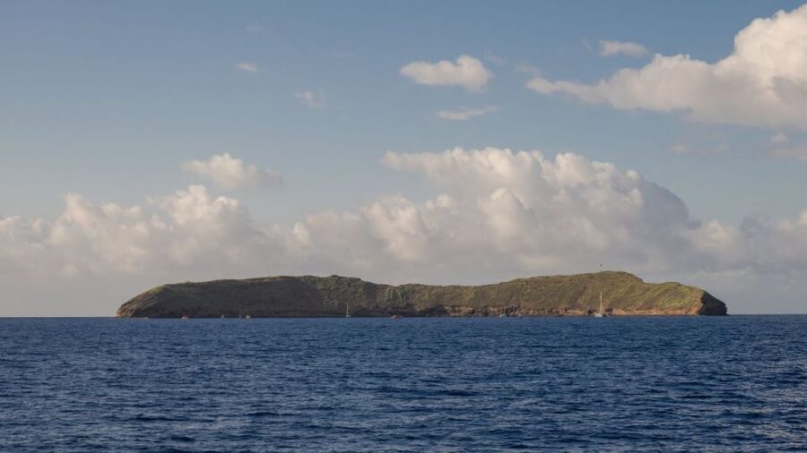 South Maui: Snorkel to Coral Gardens or Molokini Crater - What to expect at Coral Gardens